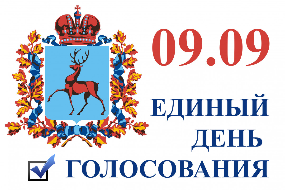 Выборы 09.09 ONLINE. Единый день голосования в Нижегородской области