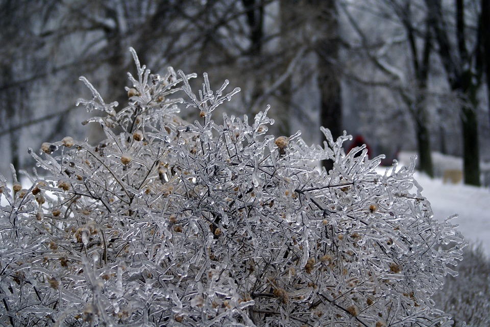 Ледяной дождь пройдет в Нижегородской области