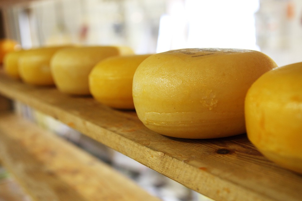 Более 65 килограммов санкционных сыров утилизировали в Нижнем Новгороде