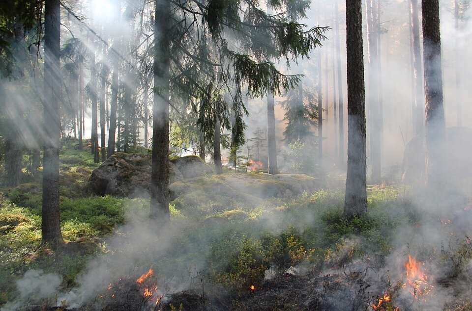 Высокая пожароопасность сохранится в Нижегородской области до 9 мая
