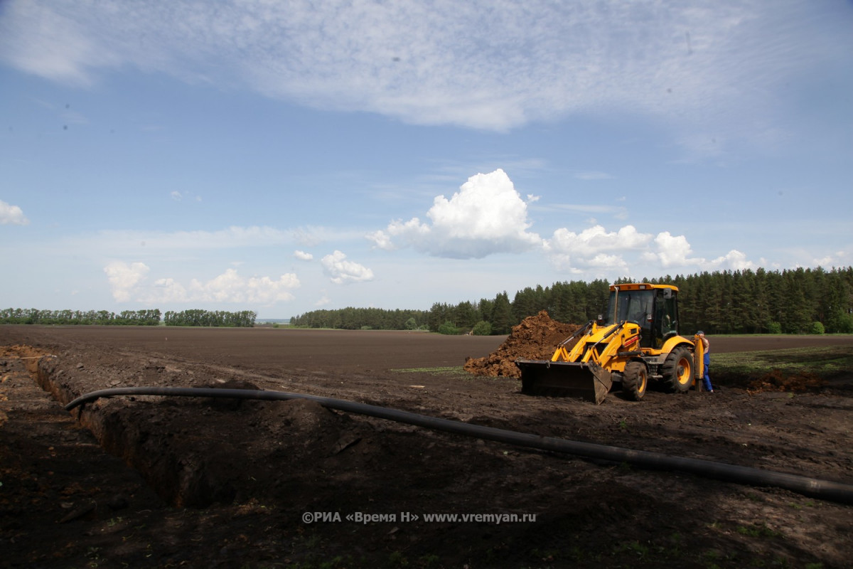 19 тысяч га неиспользуемых земель планируется ввести в оборот в Нижегородской области