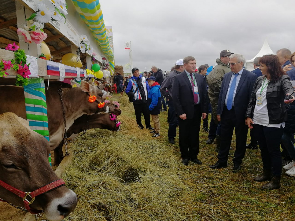 Более 100 агропредприятий собрались на агрофестивале «День поля — 2019» в Нижегородской области