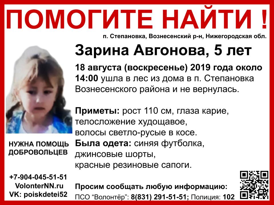 Более 700 человек ищут пропавшую в Вознесенском районе Зарину Авгонову