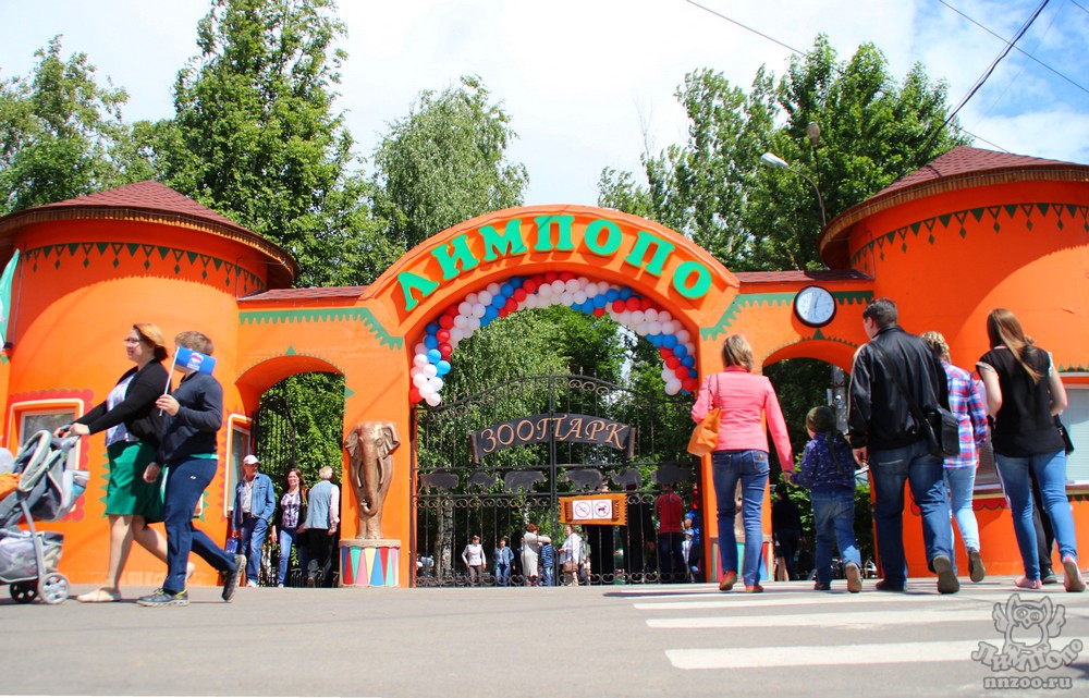 Нижегородский зоопарк «Лимпопо» вошел в топ-10 самых интересных для детей зоопарков России