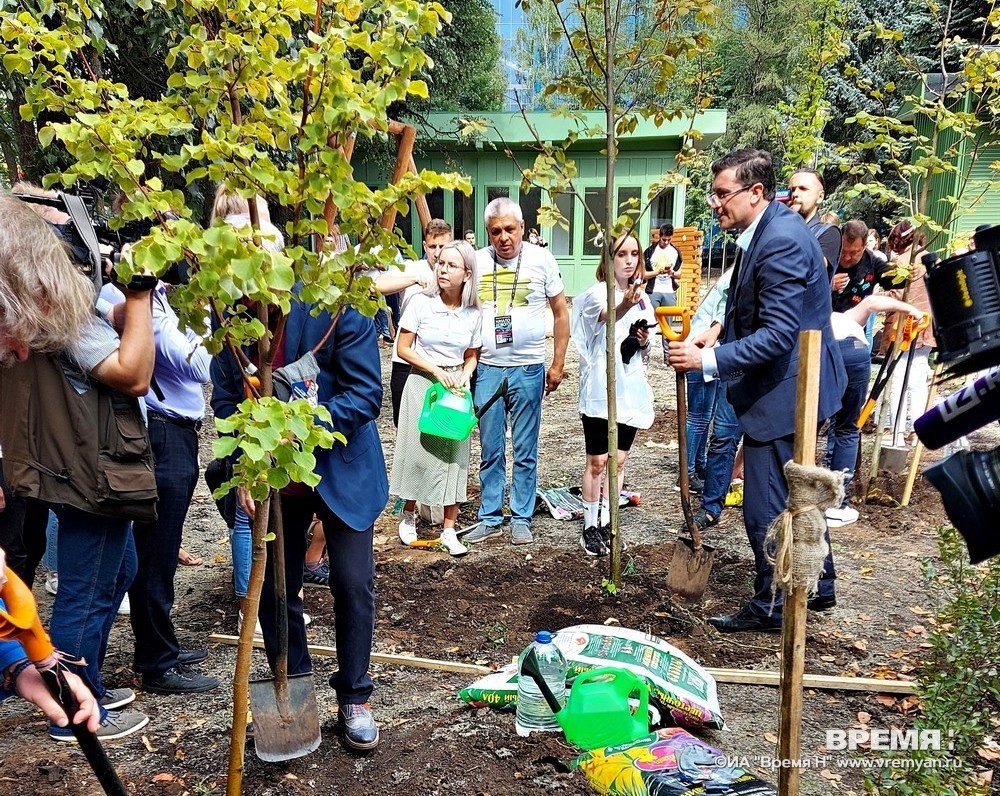 400 деревьев планируется высадить в нижегородском парке «Швейцария» до ноября