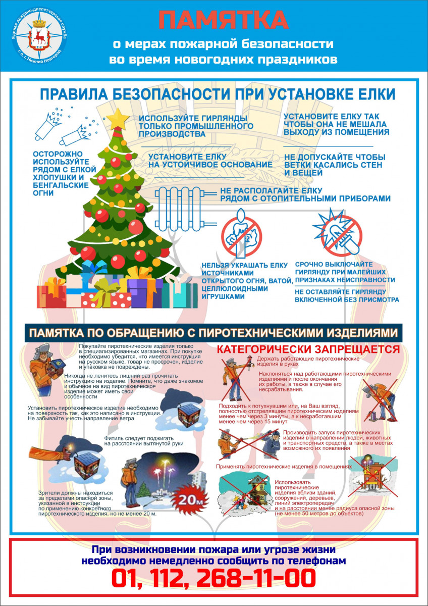 Нижегородцам напомнили о мерах пожарной безопасности в дни новогодних праздников