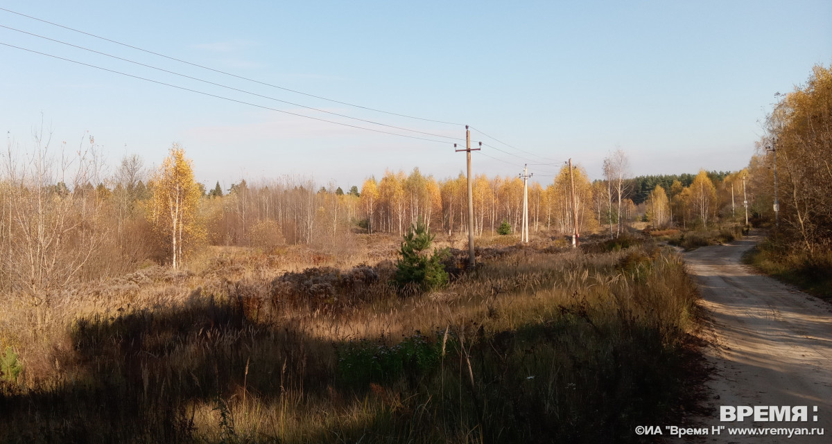 На землях лесного фонда Нижегородской области завершен пожароопасный сезон