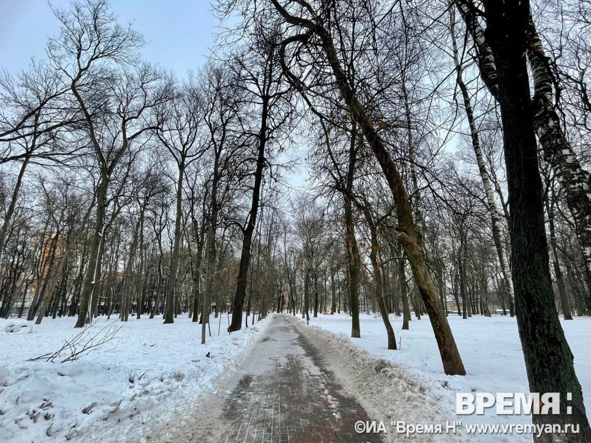 Снег будет идти в Нижнем Новгороде 16 февраля