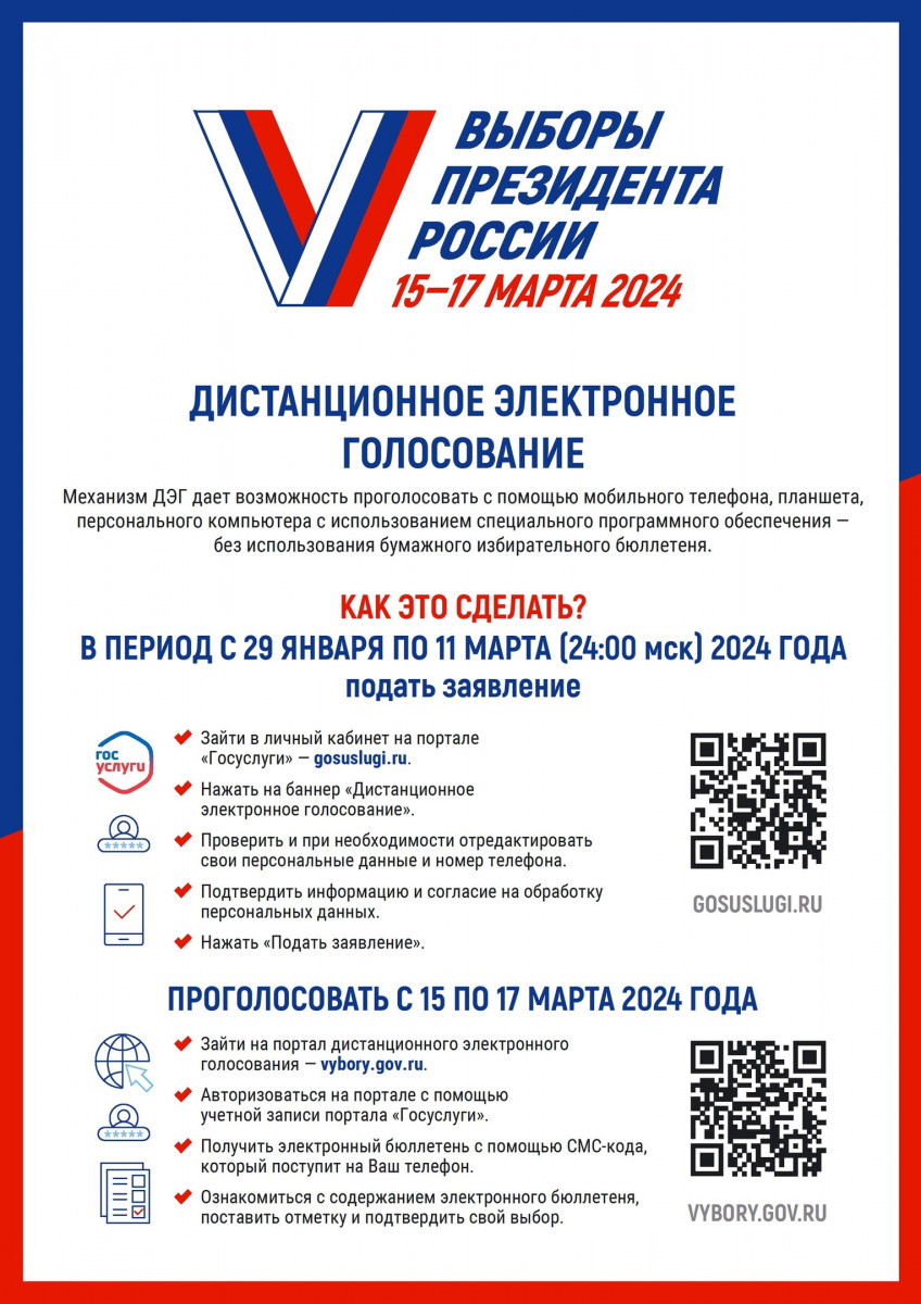 Нижегородцы смогут принять участие в тестовом дистанционном электронном голосовании