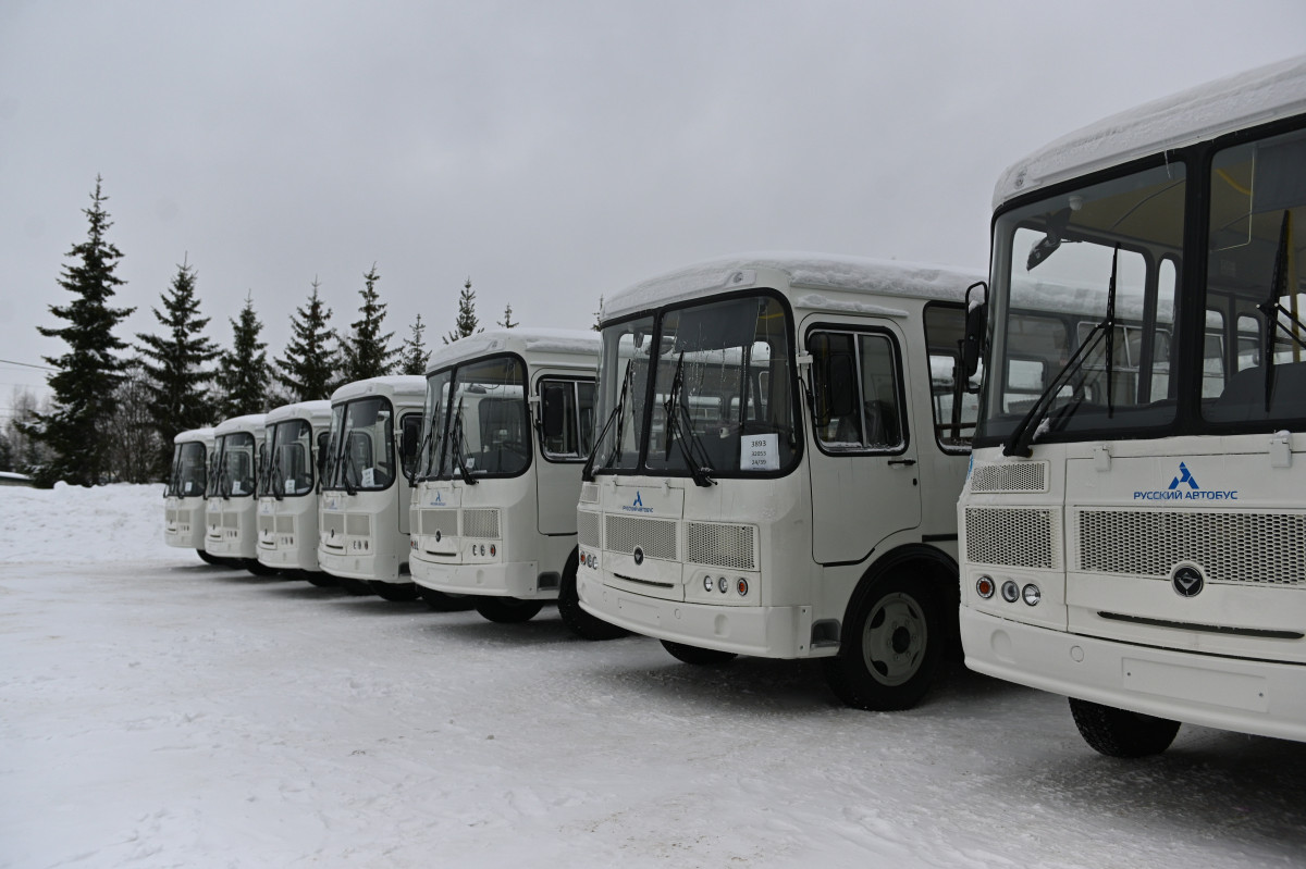 Более 150 новых автобусов вышли на маршруты в муниципальных округах Нижегородской области
