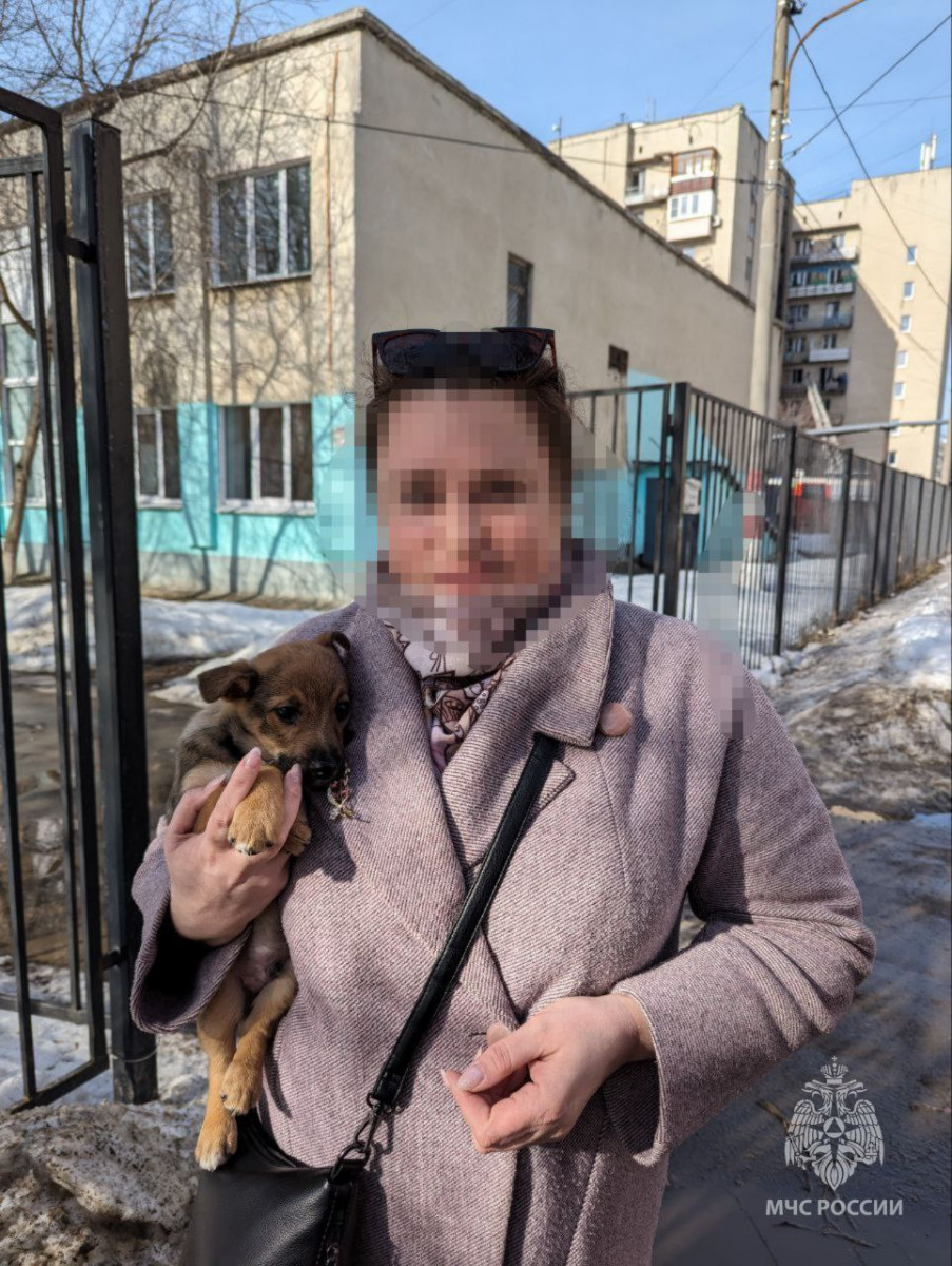 Щенка спасли огнеборцы из пожара на улице Народной в Нижнем Новгороде