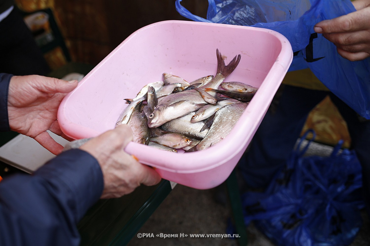59 тонн потенциально опасной рыбы задержано в Нижнем Новгороде
