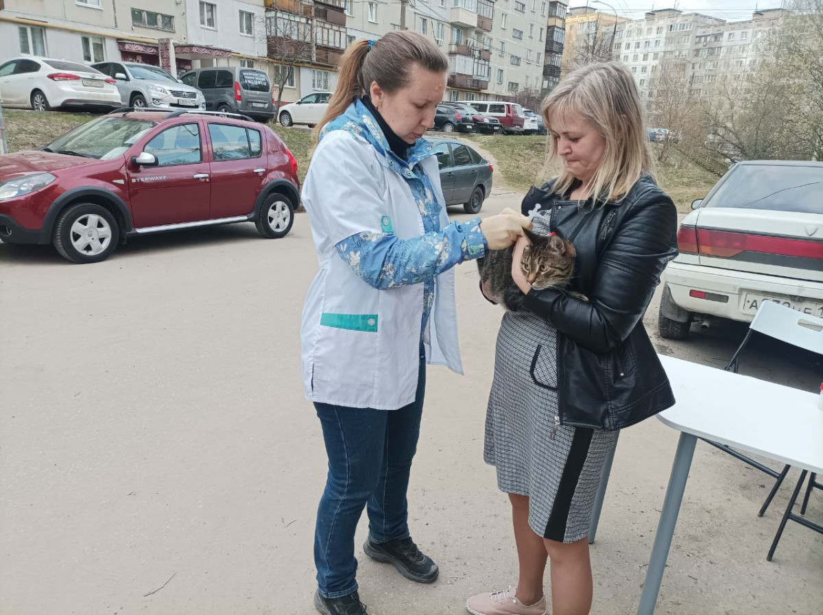 Бесплатная вакцинация домашних животных стартует в Приокском районе 18 апреля