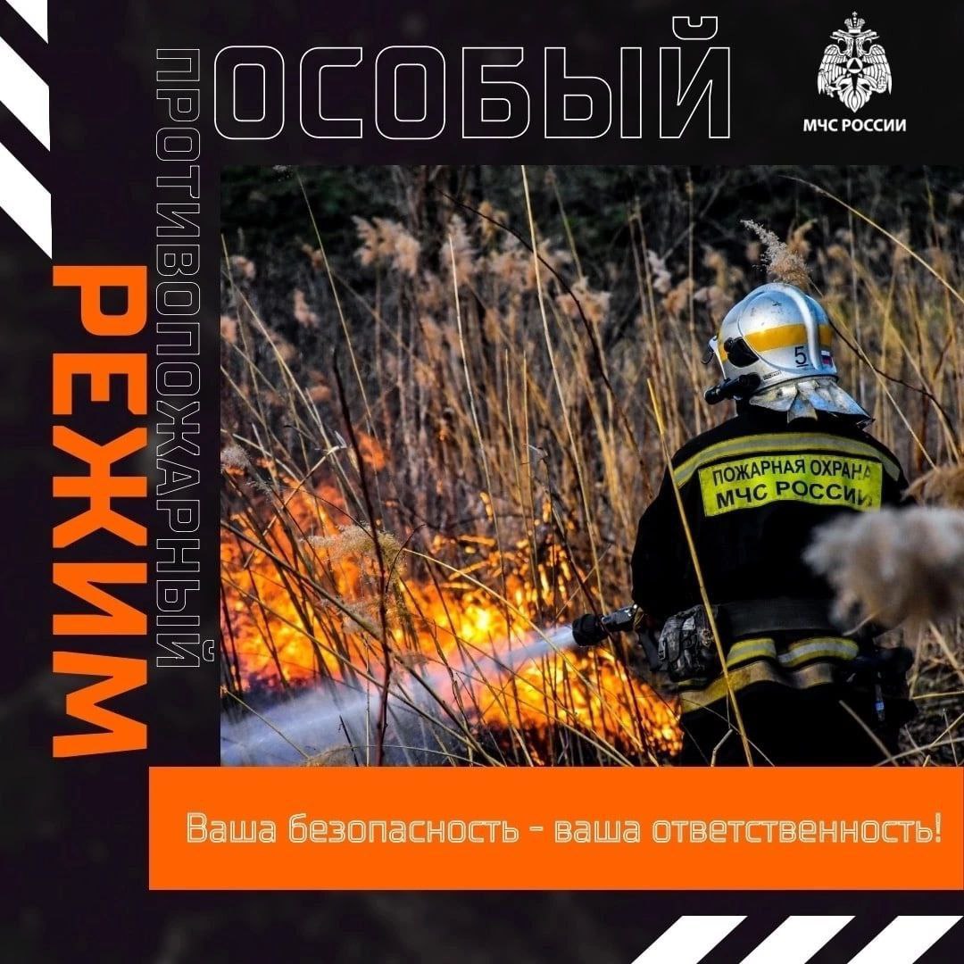 Особый противопожарный режим введен в Нижегородской области